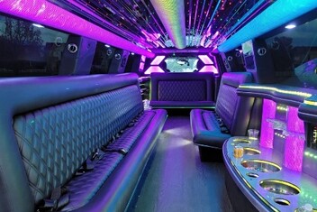 Elgin Limo Interior